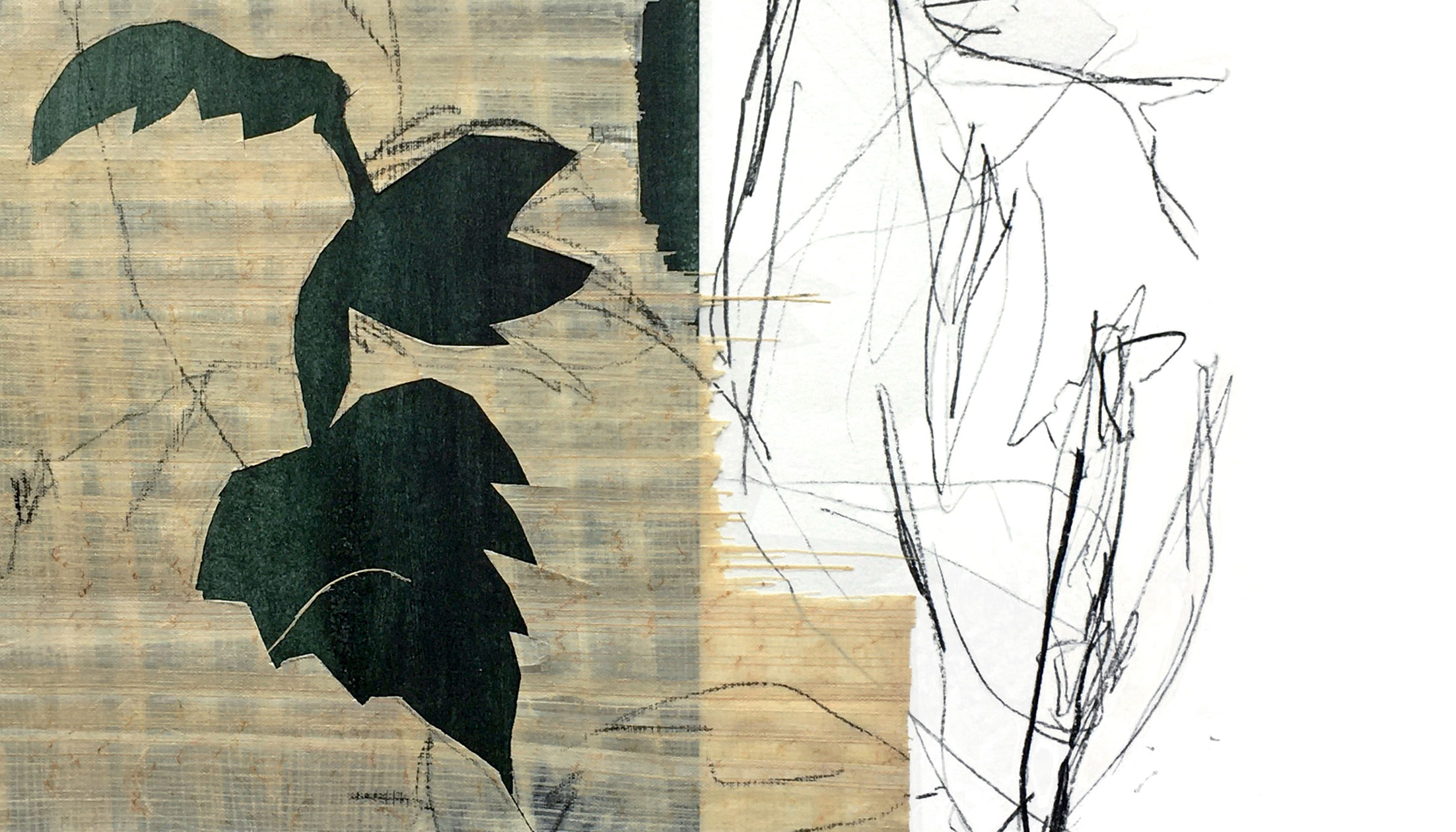 plantdrawing